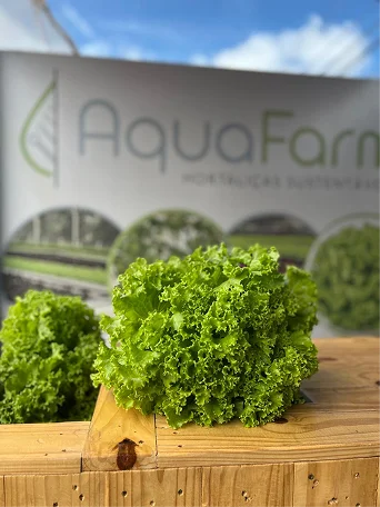 WhatsApp Image 2025-12-12 at 15.46.46 (1) 1